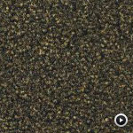 Moqueta Continua Tufted - Stella